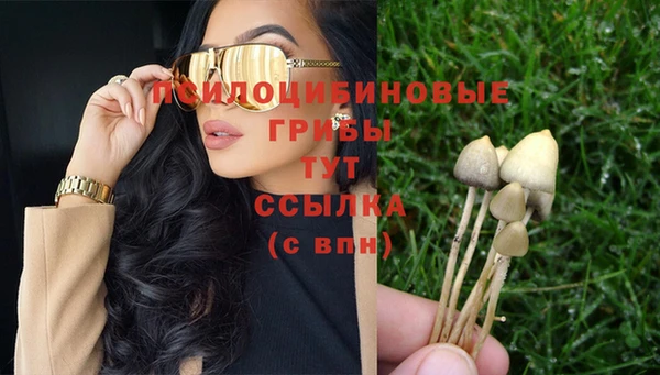 марки lsd Новозыбков