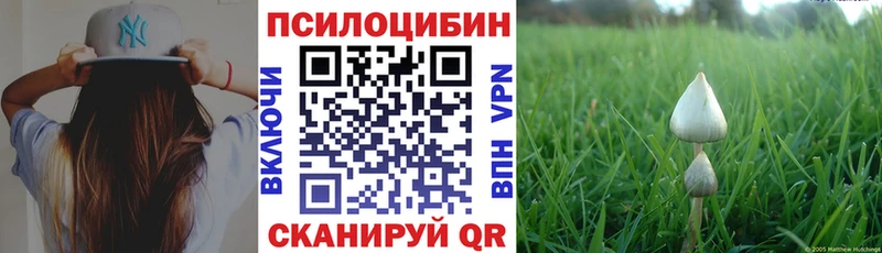 Галлюциногенные грибы Cubensis  закладка  ссылка на мегу вход  Сурск 
